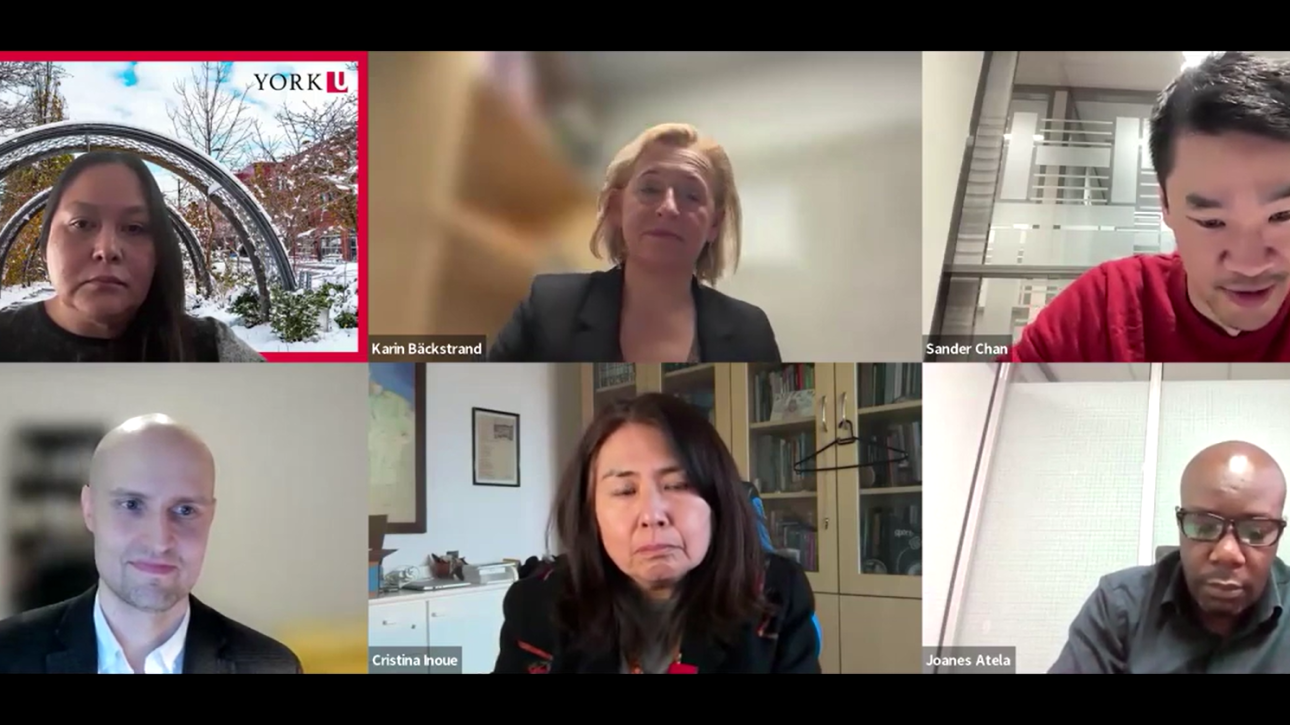 A screenshot of the BioCAM4 COP30 Debrief zoom meeting