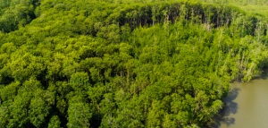 Photo from report cover page