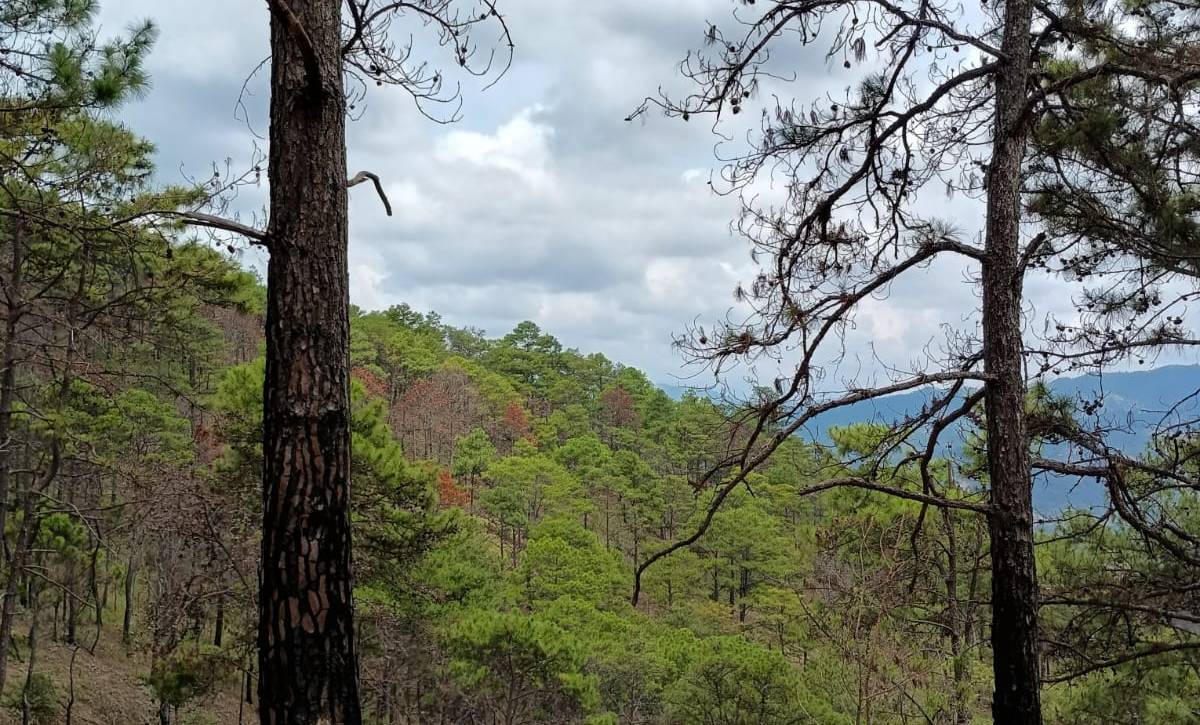 Landscape photo, Trifinio, Guatemala