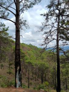 Landscape photo, Trifinio, Guatemala